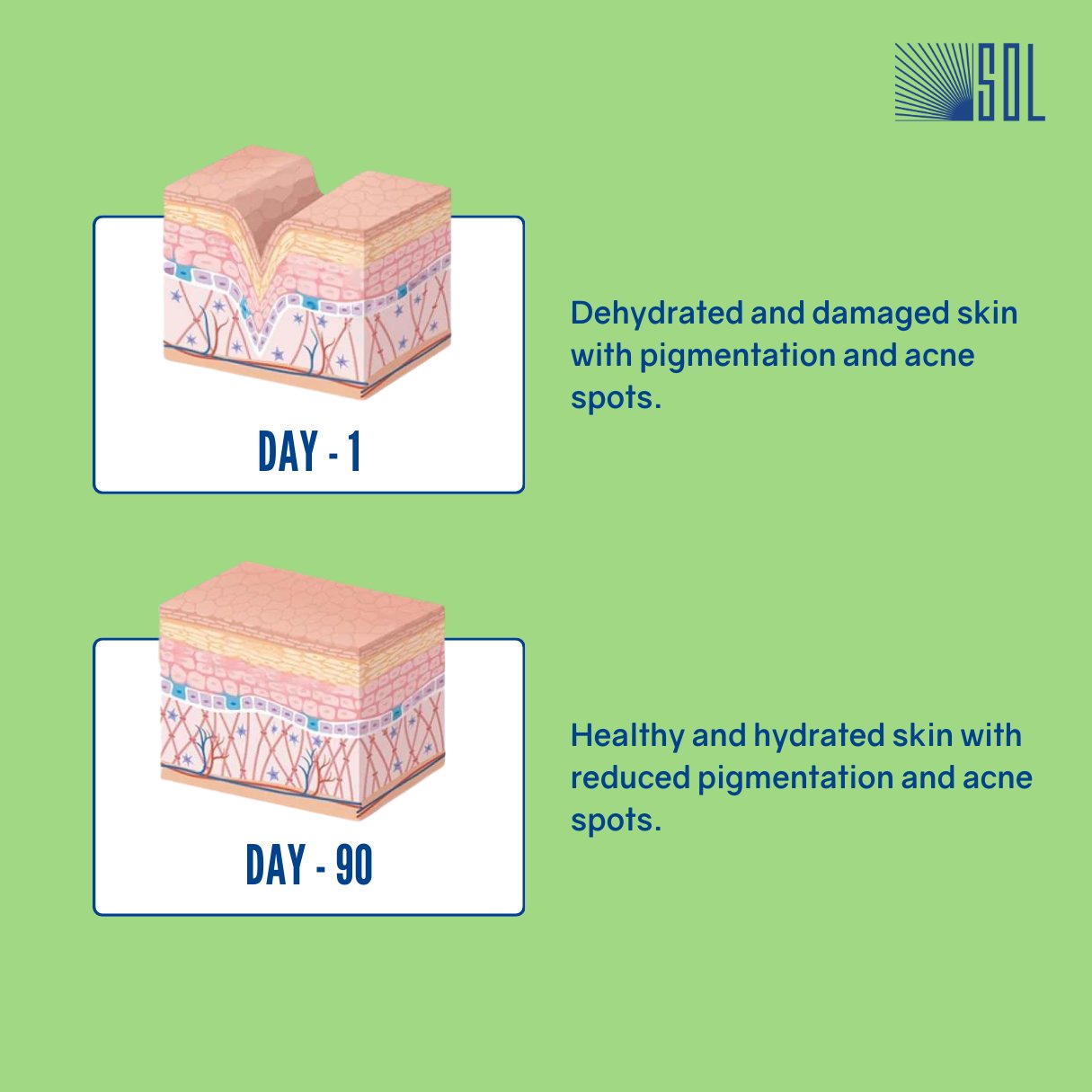 Real Collagen Peptides - Heyday
